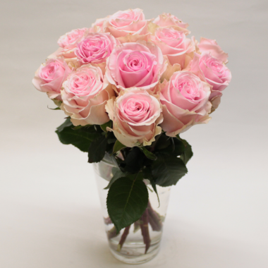 BOUQUET of pink roses