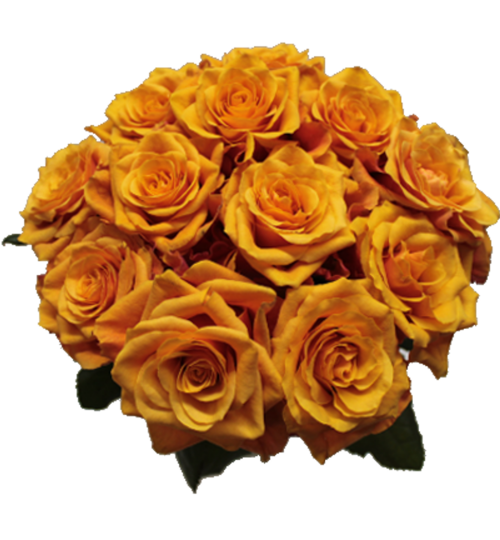 BOUQUET Of Orange Roses