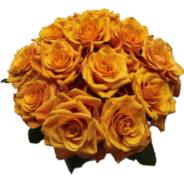 Blumenstrauß Orange Rosen