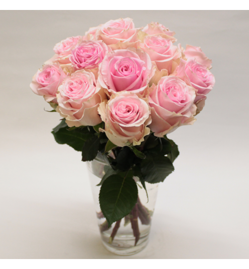 Blumenstrauß Rosa Rosen